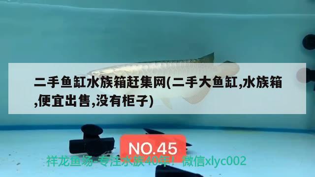 二手魚缸水族箱趕集網(wǎng)(二手大魚缸,水族箱,便宜出售,沒有柜子)