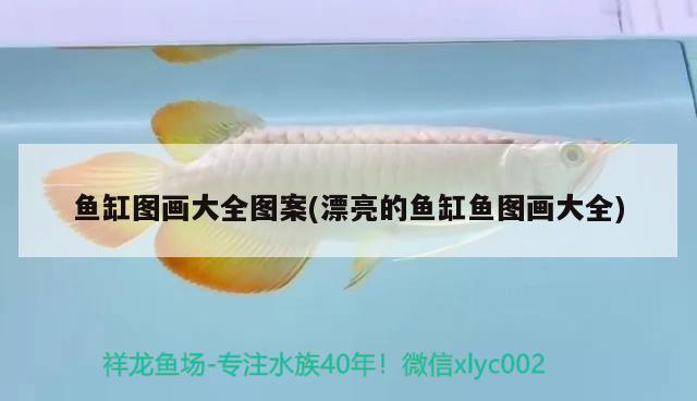 魚缸圖畫大全圖案(漂亮的魚缸魚圖畫大全)