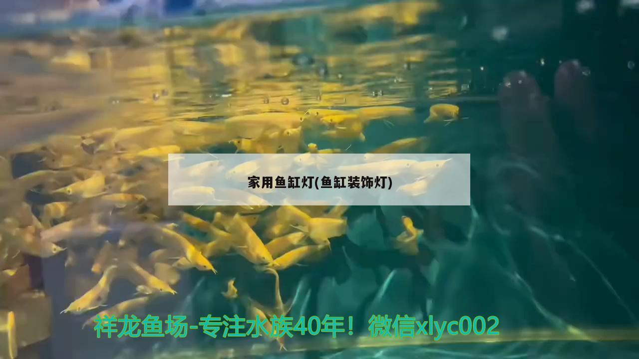 家用魚缸燈(魚缸裝飾燈)