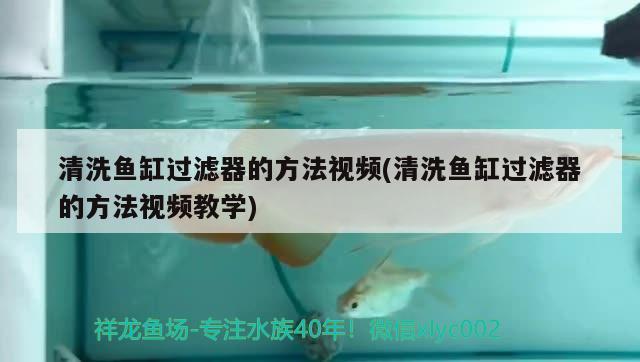 清洗魚缸過濾器的方法視頻(清洗魚缸過濾器的方法視頻教學(xué))