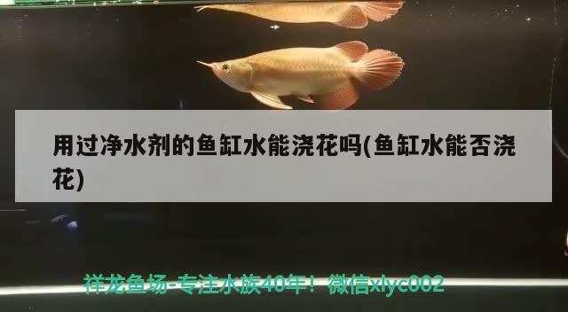 用過凈水劑的魚缸水能澆花嗎(魚缸水能否澆花) 祥龍龍魚專用水族燈