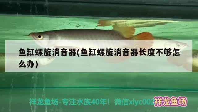 魚缸螺旋消音器(魚缸螺旋消音器長(zhǎng)度不夠怎么辦)