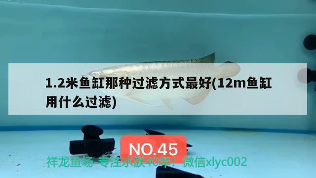 1.2米魚缸那種過濾方式最好(12m魚缸用什么過濾)