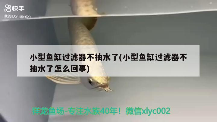 小型魚缸過濾器不抽水了(小型魚缸過濾器不抽水了怎么回事) 元寶鳳凰魚百科