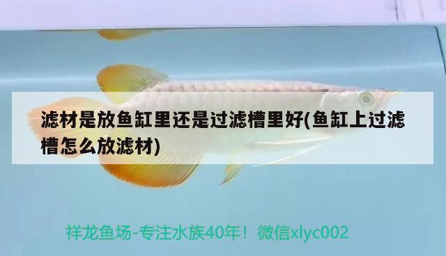 濾材是放魚缸里還是過濾槽里好(魚缸上過濾槽怎么放濾材)