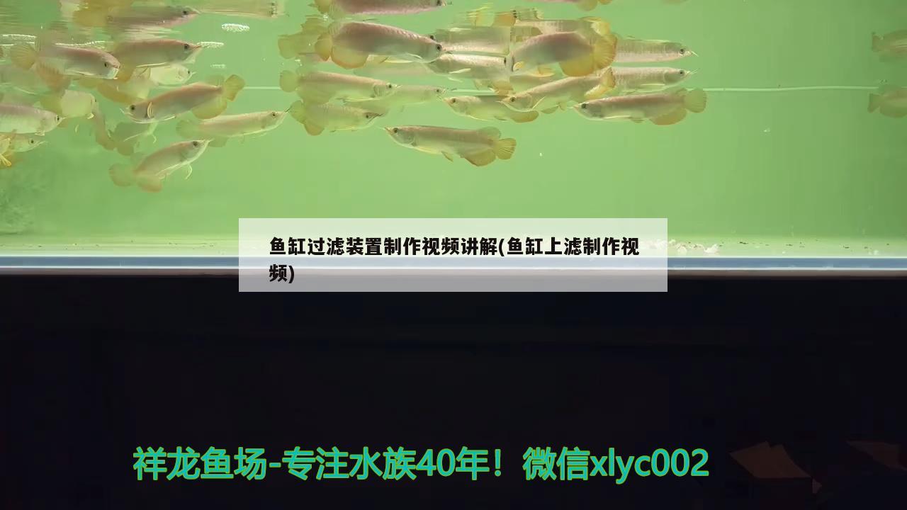 魚缸過濾裝置制作視頻講解(魚缸上濾制作視頻) 觀賞龜/鱉飼料