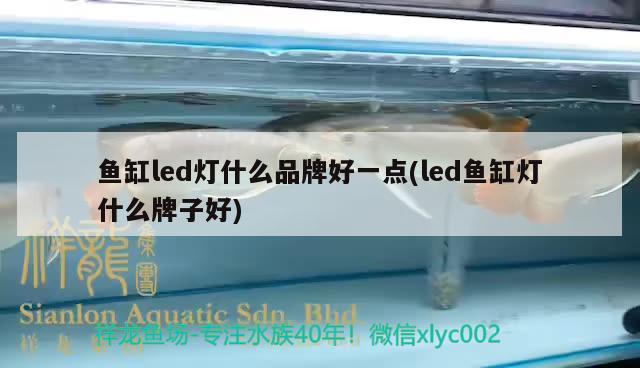 魚缸led燈什么品牌好一點(led魚缸燈什么牌子好) 過背金龍魚