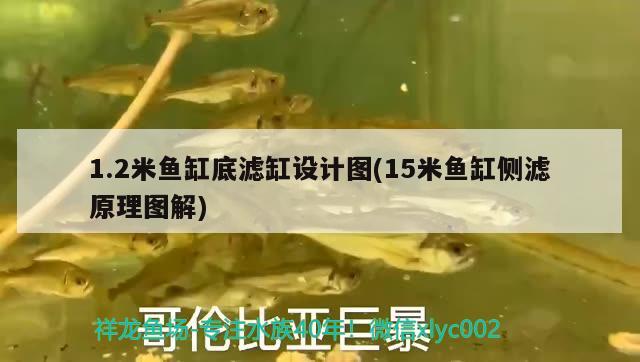 1.2米魚缸底濾缸設(shè)計圖(15米魚缸側(cè)濾原理圖解)