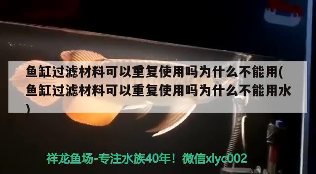 魚(yú)缸過(guò)濾材料可以重復(fù)使用嗎為什么不能用(魚(yú)缸過(guò)濾材料可以重復(fù)使用嗎為什么不能用水) 黑桃A魚(yú)