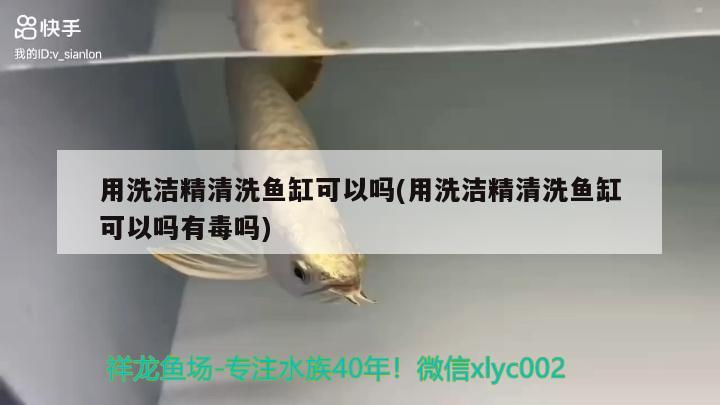 用洗潔精清洗魚缸可以嗎(用洗潔精清洗魚缸可以嗎有毒嗎)