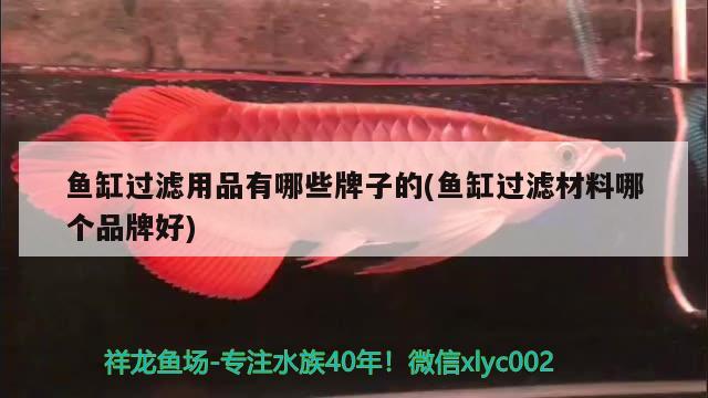 魚缸過(guò)濾用品有哪些牌子的(魚缸過(guò)濾材料哪個(gè)品牌好) 金老虎魚