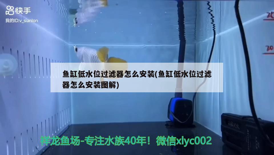 魚缸低水位過濾器怎么安裝(魚缸低水位過濾器怎么安裝圖解)