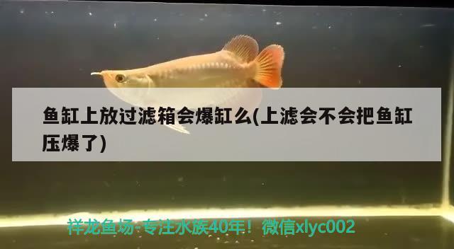 魚(yú)缸上放過(guò)濾箱會(huì)爆缸么(上濾會(huì)不會(huì)把魚(yú)缸壓爆了) 熱帶魚(yú)魚(yú)苗批發(fā) 第2張