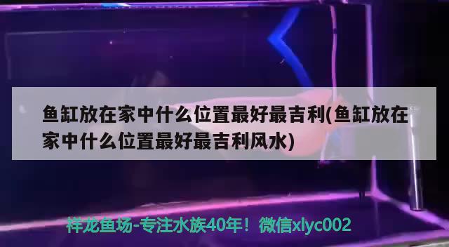 魚缸放在家中什么位置最好最吉利(魚缸放在家中什么位置最好最吉利風水) 魚缸風水