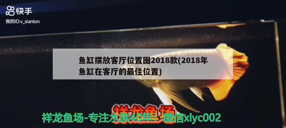 魚缸擺放客廳位置圖2018款(2018年魚缸在客廳的最佳位置) 造景/裝飾