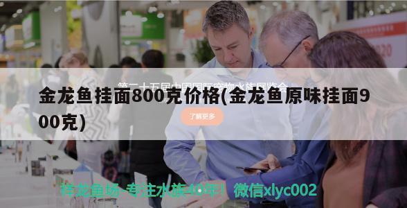 金龍魚掛面800克價格(金龍魚原味掛面900克)