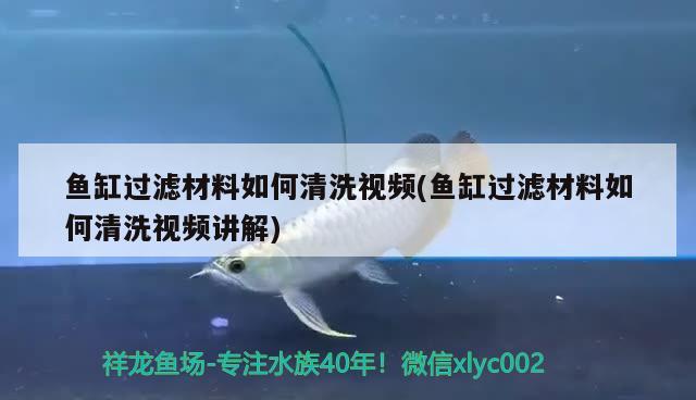 魚缸過濾材料如何清洗視頻(魚缸過濾材料如何清洗視頻講解)