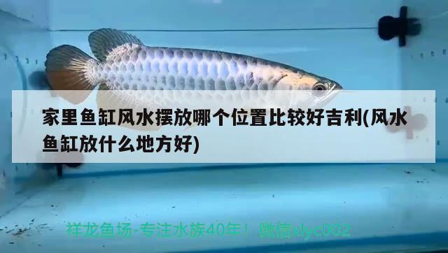 家里魚缸風(fēng)水?dāng)[放哪個(gè)位置比較好吉利(風(fēng)水魚缸放什么地方好)