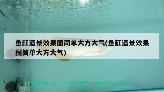 魚(yú)缸造景效果圖簡(jiǎn)單大方大氣(魚(yú)缸造景效果圖簡(jiǎn)單大方大氣) 稀有紅龍品種