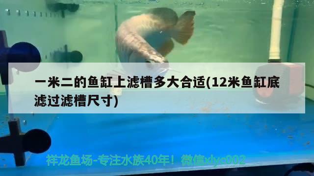 一米二的魚缸上濾槽多大合適(12米魚缸底濾過(guò)濾槽尺寸) 廣州水族批發(fā)市場(chǎng)