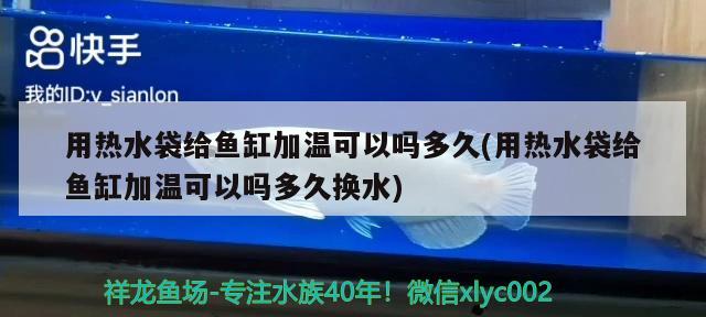 用熱水袋給魚缸加溫可以嗎多久(用熱水袋給魚缸加溫可以嗎多久換水) 申古銀版魚