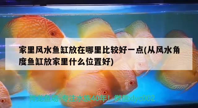 家里風水魚缸放在哪里比較好一點(從風水角度魚缸放家里什么位置好)