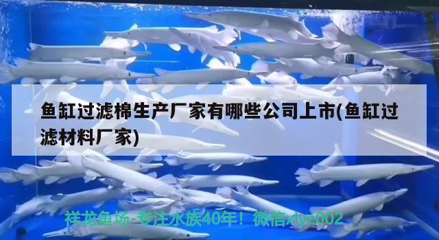 魚缸過濾棉生產(chǎn)廠家有哪些公司上市(魚缸過濾材料廠家) 噴點菠蘿魚