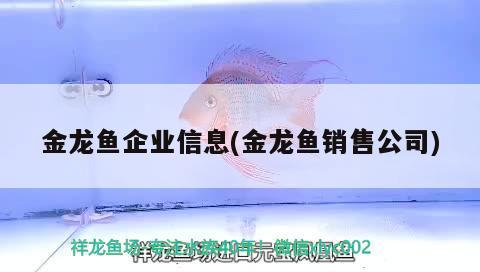 金龍魚(yú)企業(yè)信息(金龍魚(yú)銷(xiāo)售公司)