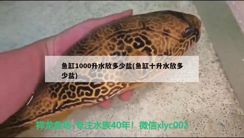 魚缸1000升水放多少鹽(魚缸十升水放多少鹽) 伊巴卡魚