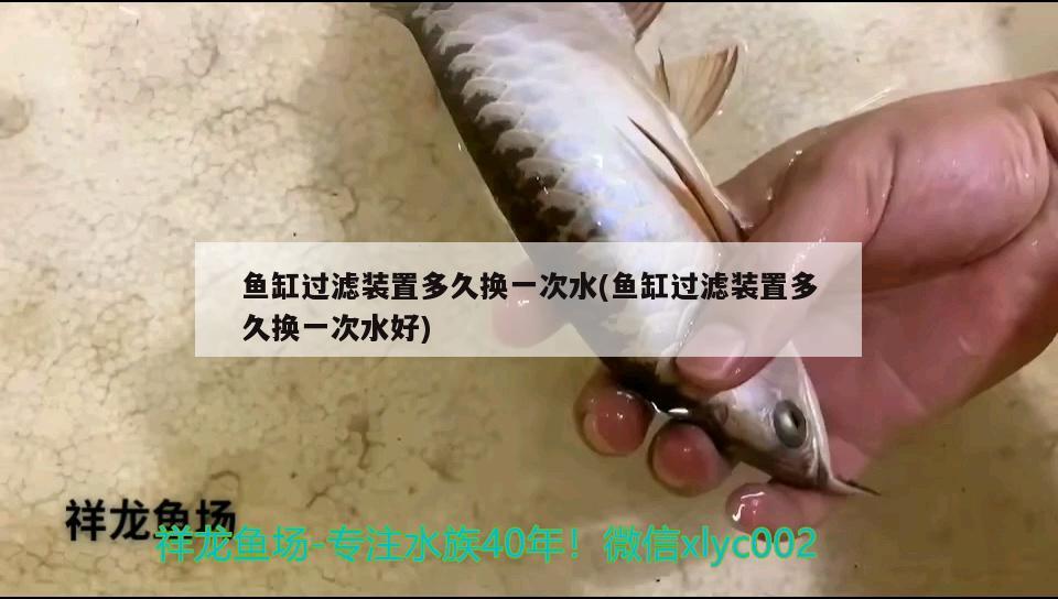 魚(yú)缸過(guò)濾裝置多久換一次水(魚(yú)缸過(guò)濾裝置多久換一次水好) 魚(yú)缸定做