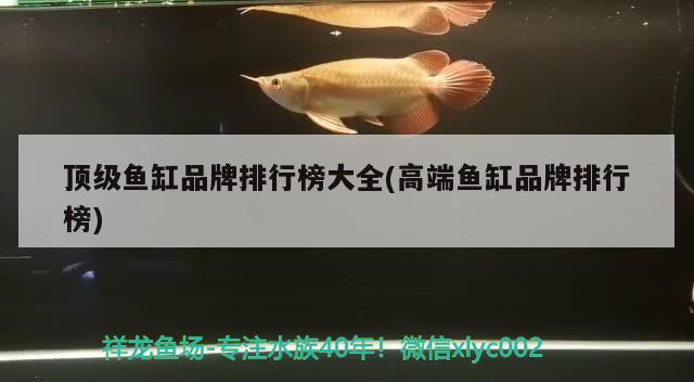 頂級魚缸品牌排行榜大全(高端魚缸品牌排行榜)