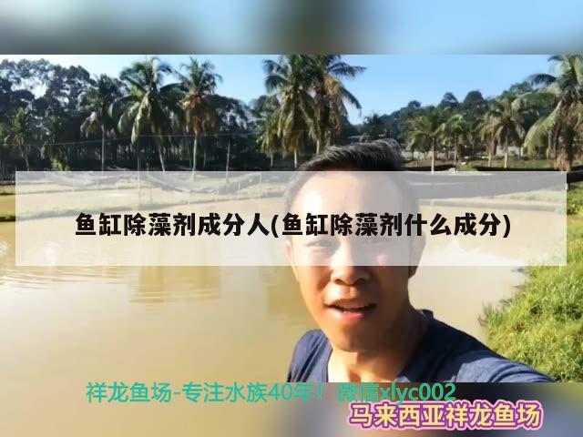 魚缸除藻劑成分人(魚缸除藻劑什么成分)