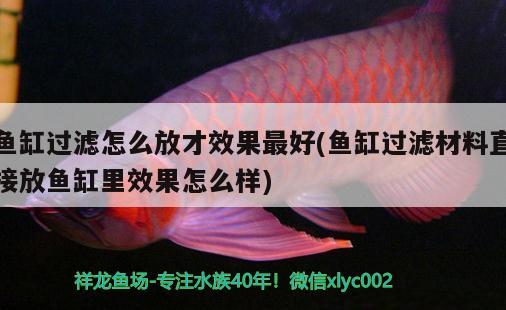 魚缸過濾怎么放才效果最好(魚缸過濾材料直接放魚缸里效果怎么樣) 賽級紅龍魚