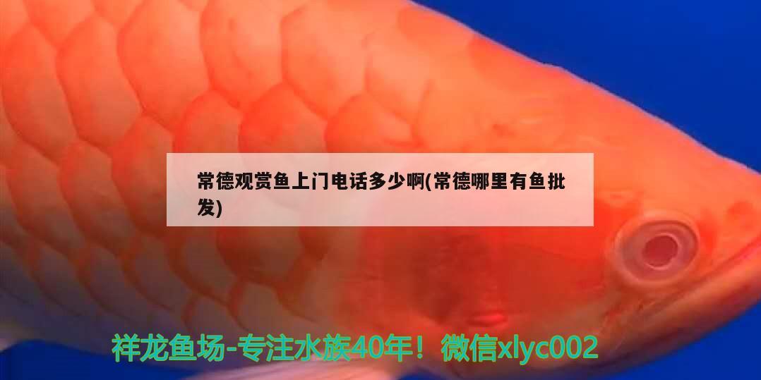 常德觀賞魚上門電話多少啊(常德哪里有魚批發(fā))