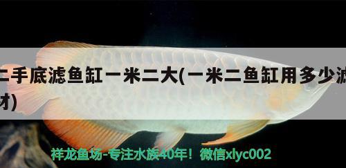 二手底濾魚缸一米二大(一米二魚缸用多少濾材) 黑影道人魚