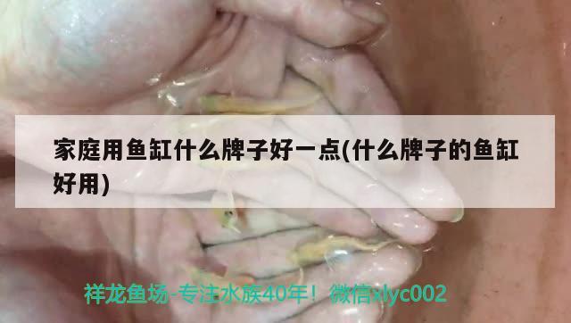 家庭用魚缸什么牌子好一點(diǎn)(什么牌子的魚缸好用)