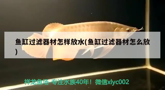 魚缸過濾器材怎樣放水(魚缸過濾器材怎么放) 檸檬鯽