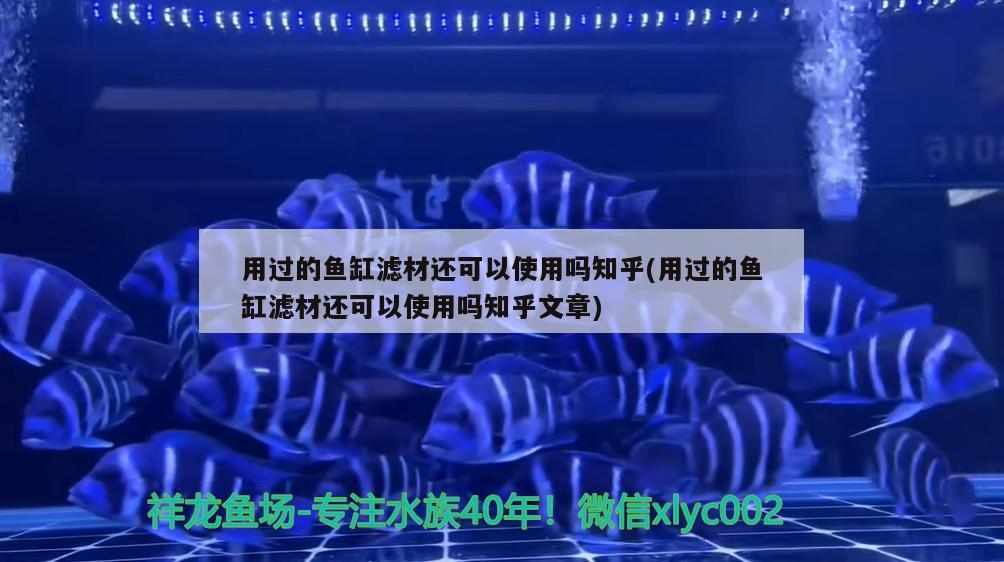 用過的魚缸濾材還可以使用嗎知乎(用過的魚缸濾材還可以使用嗎知乎文章) 水族維護服務（上門）