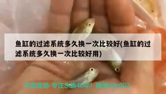 魚(yú)缸的過(guò)濾系統(tǒng)多久換一次比較好(魚(yú)缸的過(guò)濾系統(tǒng)多久換一次比較好用)