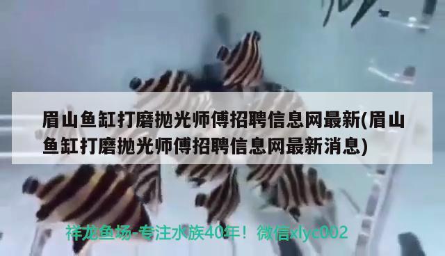 眉山魚缸打磨拋光師傅招聘信息網最新(眉山魚缸打磨拋光師傅招聘信息網最新消息) 撒旦鴨嘴魚