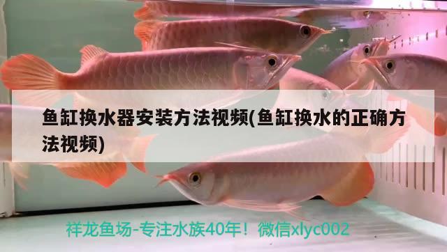 魚(yú)缸換水器安裝方法視頻(魚(yú)缸換水的正確方法視頻)