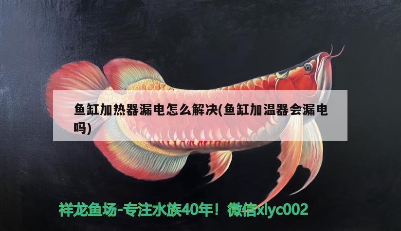 魚缸加熱器漏電怎么解決(魚缸加溫器會(huì)漏電嗎) 祥龍龍魚魚糧