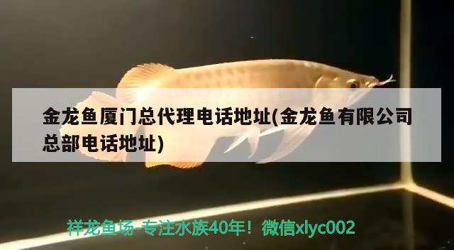 金龍魚廈門總代理電話地址(金龍魚有限公司總部電話地址) 赤荔鳳冠魚