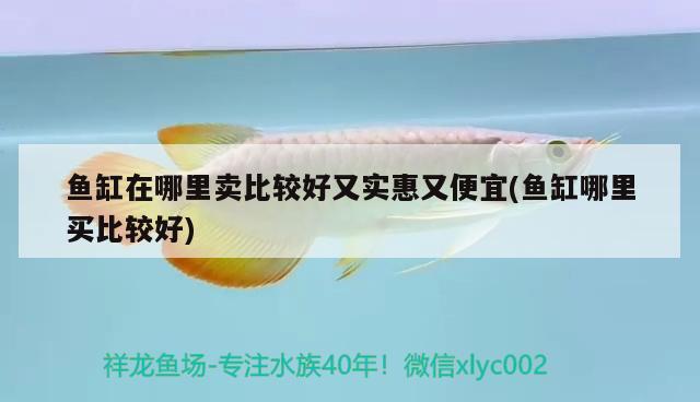 魚缸在哪里賣比較好又實(shí)惠又便宜(魚缸哪里買比較好) 申古三間魚