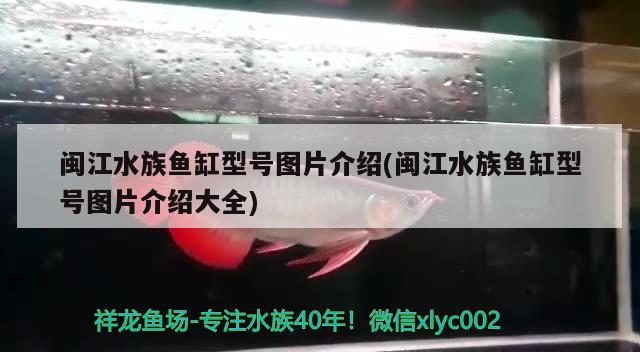 閩江水族魚缸型號(hào)圖片介紹(閩江水族魚缸型號(hào)圖片介紹大全) 水族維護(hù)服務(wù)（上門）