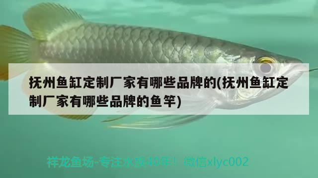 撫州魚缸定制廠家有哪些品牌的(撫州魚缸定制廠家有哪些品牌的魚竿) 垂釣樂園