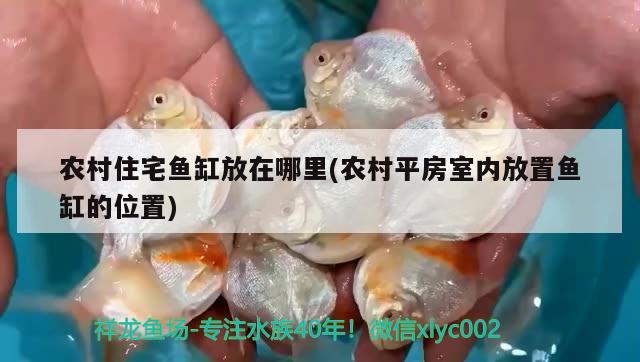 農村住宅魚缸放在哪里(農村平房室內放置魚缸的位置) 祥龍水族護理水