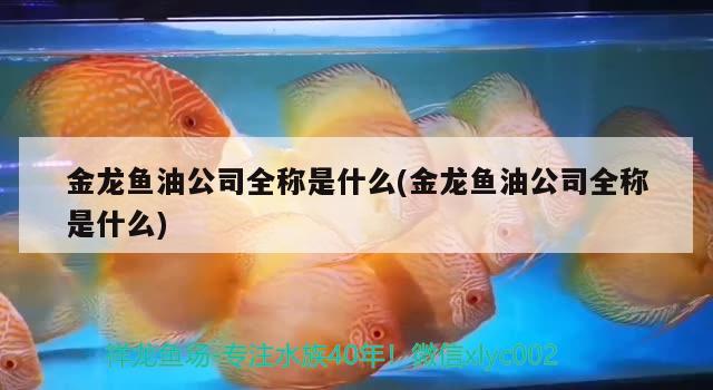 金龍魚油公司全稱是什么(金龍魚油公司全稱是什么) 黑影道人魚