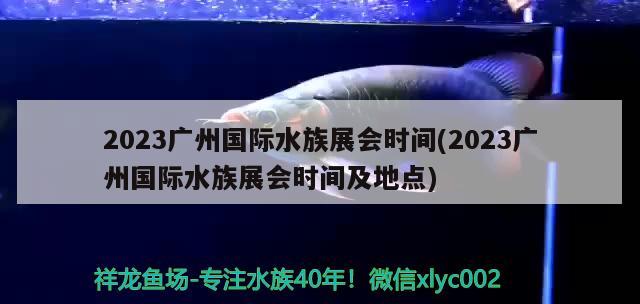 2023廣州國際水族展會(huì)時(shí)間(2023廣州國際水族展會(huì)時(shí)間及地點(diǎn)) 水族展會(huì)