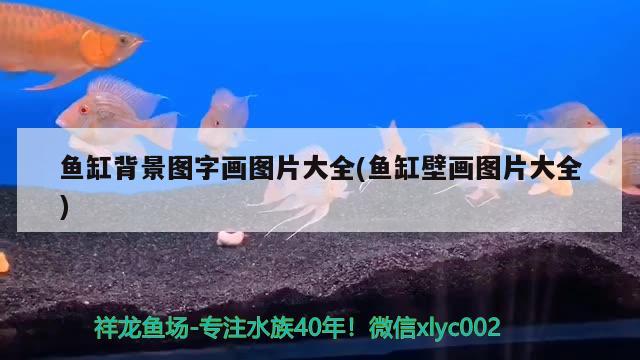 魚缸背景圖字畫圖片大全(魚缸壁畫圖片大全) 金頭過背金龍魚